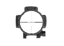Capture1.webp